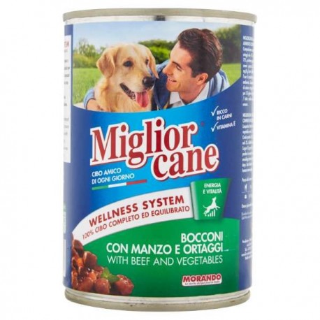 P/CANE MORANDO MC BOCCONI MANZO/ORTAGGI GR.405