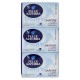 SAPONETTE FELCE AZZURRA CLASSICO GR.100X3