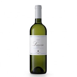 VINO STATTI LAMEZIA BIANCO DOC IGT2023BOTT. CL.75