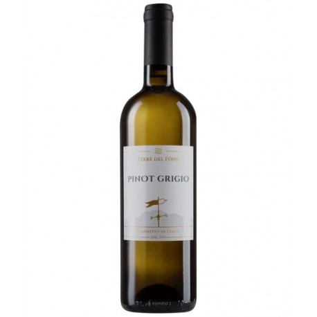 VINO TERRE FOHN PINOT GRIGIO V.DOLOM.BIANCO CL.70