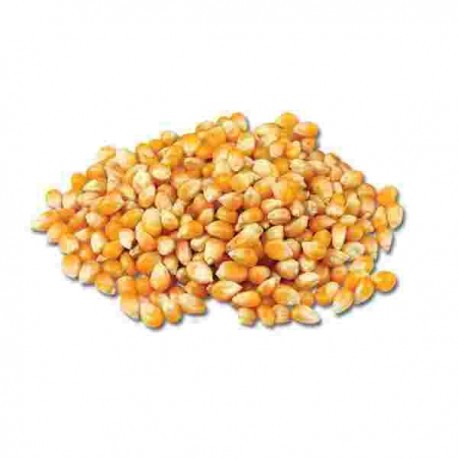 POP CORN MAIS SACCO KG.25 OR.ARGENTINA