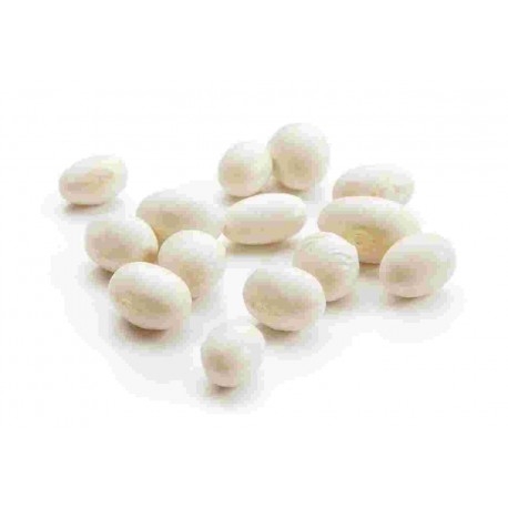 LEG/S FAGIOLI SACCO COCOS KG.10 L.41 OR.ARGENTINA