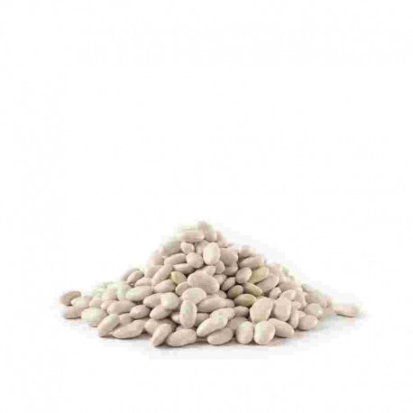 LEG/S FAGIOLI SACCO CANNELLINI KG.10 L.LM17 OR.ARG