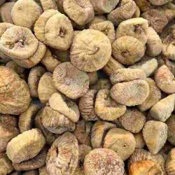 FR/S FICHI SECCHI 60/65 KG.5 OR.GRECIA