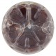 TE FUZETEA PESCA CON ROSA PET ML.400