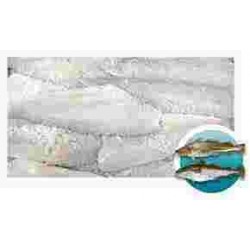 FILETT.BROSME 200/400 KG.25