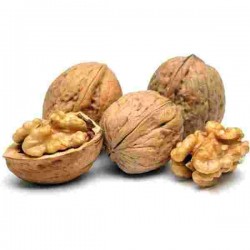 FR/S NOCI INTERE SACCO 34/36 KG.10