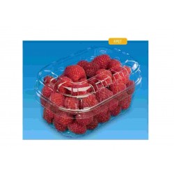 VASCHETTA FRUTTA PET RETT.S/M NESPAK GR.250 PZ.190
