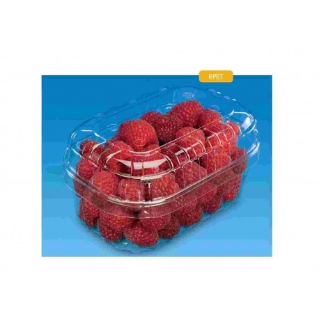 VASCHETTA FRUTTA PET RETT.S/M NESPAK GR.250 PZ.190