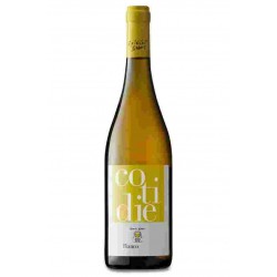 VINO SPIRITI EBBRI COTIDIE BIANCO
