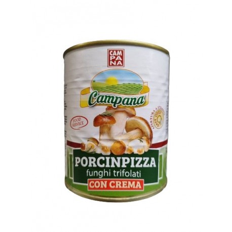 FUNGHI PORCINI TRIFOLATI C/CREMA LATT.GR850