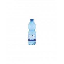ACQUA SAN BENEDETTO FRIZZANTE ML.500
