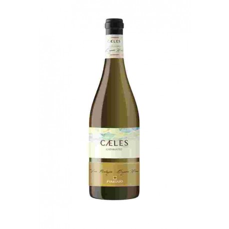 VINO FIRRIATO CAELES CATARRATTO BIANCO 2024 CL 75