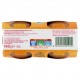 INF.PLASMON OMOGENEIZZATI FRUTTA MELA GR.80X2