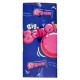 CARAM.CHEWING GUM BIG BABOL MONO TUTTIFRUTTI P.200