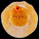 BOLL/NE PROSECCO SANT'ORSOLA DOC LUXURY MIL. CL.75