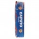 FARINA CAPUTO (0) MANITOBA KG.25