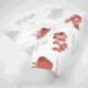 CARTA ACCOPPIATA 30X40 MACELLERIA GR.140 KG.20