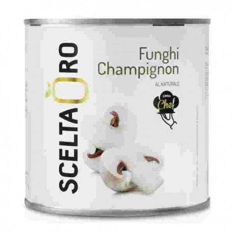 FUNGHI SCELTA ORO NATURALE LATTA GR.2650