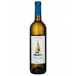 VINO INFATATA SALINA BIANCO IGP 2022