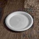 PIATTO PIANO TONDO BIO POLPA CELLULOSA DM.26 PZ.25
