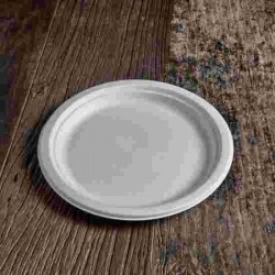 PIATTO PIANO TONDO BIO POLPA CELLULOSA DM.26 PZ.25