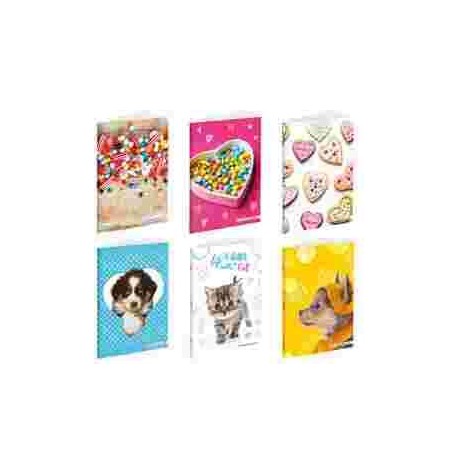 QUADERNO MAXI BAMBINA GR.80 RIGO B 3 ELEMENTARE