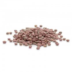 LEG/S LENTICCHIE SACCO LARGE KG.25 OR.CAN