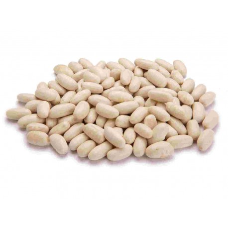 LEG/S FAGIOLI SACCO CANNELLINI KG.25