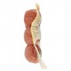 WURSTEL WUDY POLLO/TACCH. CLASSICO GR.300
