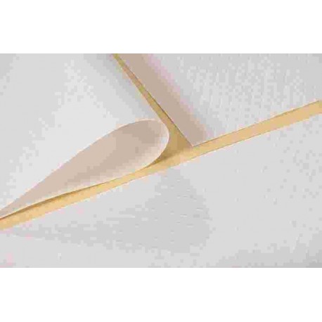 TOVAGLIA POLIT. RISTO BIANCHE F.TO 1X1 PZ.50