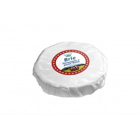 FORMAGGIO BRIE CALIBRATO KG.1 BAYERNLAND