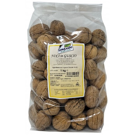 FR/S NOCI IN GUSCIO 34/36 KG.1 L.2024001OR.ARGENT