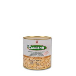 FUNGHI CAMPANA COLTIVATI NATURALE LATTA GR.2650