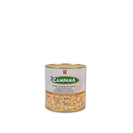 FUNGHI CAMPANA COLTIVATI NATURALE LATTA GR.2650
