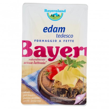 BLS EDAM FETTE GR.100 S/LATTOSIO BAYERNLAND