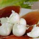 CARDINALI DI BUFALA DOC DA GR.20 IN BUSTA DA 250GR