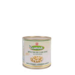 CARCIOFI CAMPANA SPICCHI NAT/LE 30/40 LATT.G.2600