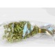 SPEZIE ORIGANO MAZZ.ORIG.ITAL.GR.40 L.ORST26MA23