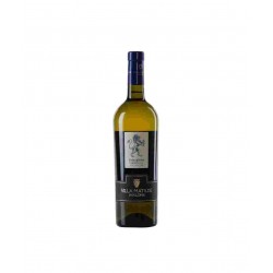 VINO FALANGHINA ROCCALEONI CL.75