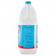 CANDEGGINA ACE CLASSICA LT.5
