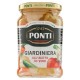 GIARDINIERA ALL'ACETO PONTI GR.290