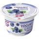 YOGURT GRECO NEOGAL MIRTILLI 0% GR.150