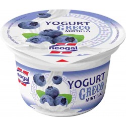 YOGURT GRECO NEOGAL MIRTILLI 0% GR.150
