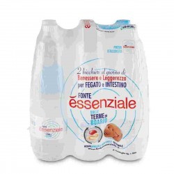ACQUA ESSENZIALE FONTE BOARIO PET LT.1