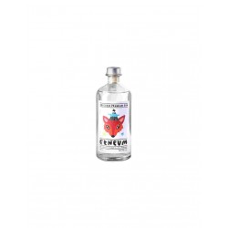 LIQUORE GIN ETNEUM CL.70 42%