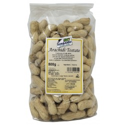 FR/S ARACHIDI TOST GR.500 IL MEGLIO L.131-04OR.EGI