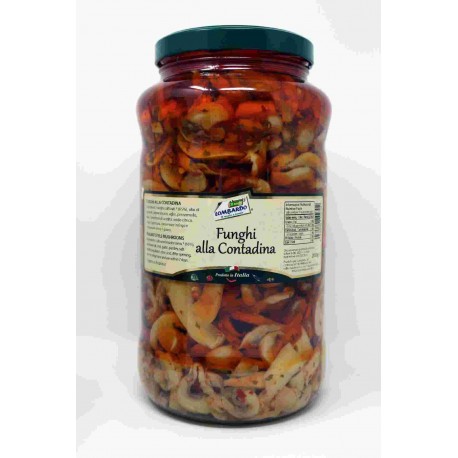 FUNGHI IL MEGLIO ALLA CONTADINA OLIO VASO GR.3100
