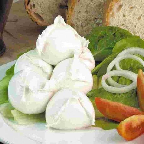 MOZZARELLA DI BUFALA CAMPANA DOC BOCCONCINI G.250*