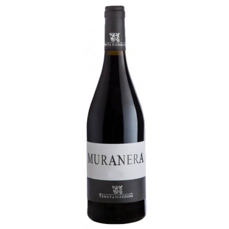 VINO IUZZOLINI MURANERA ROSSO BOTT. CL.75